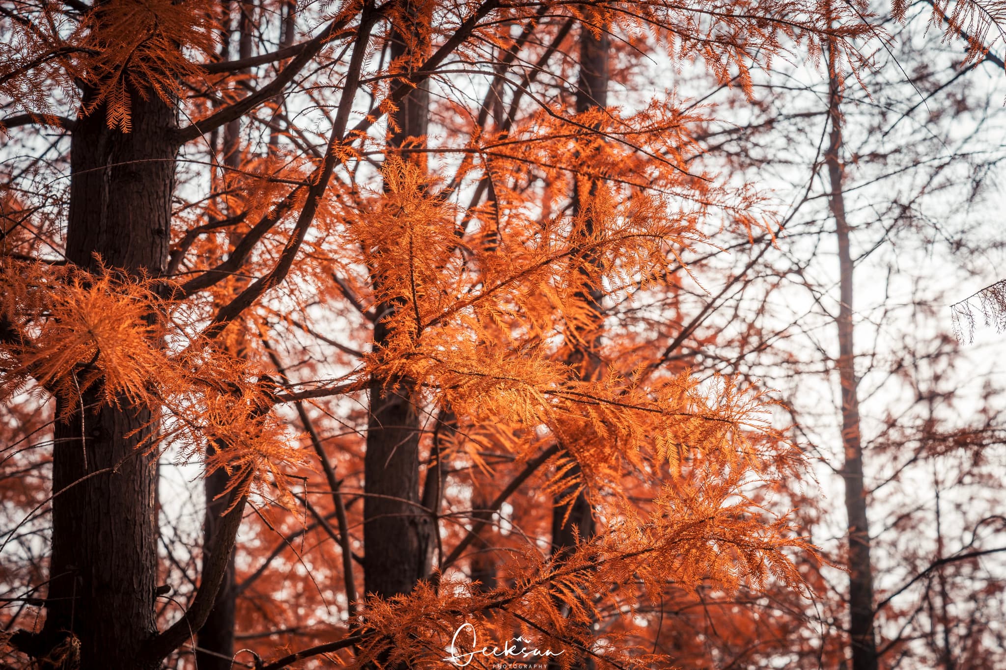 07 12月 25