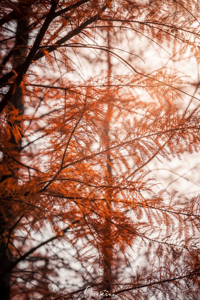07 12月 25