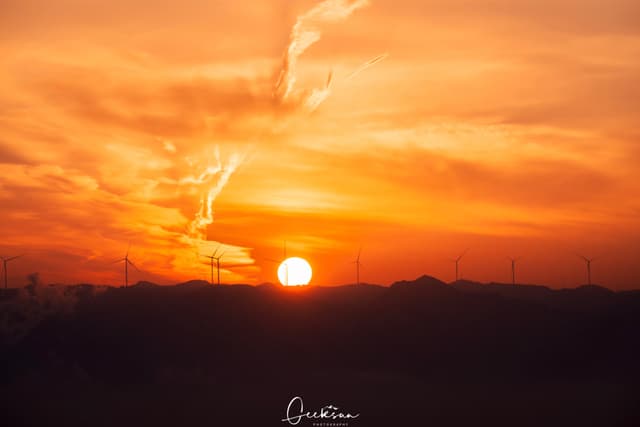 03 1月 26