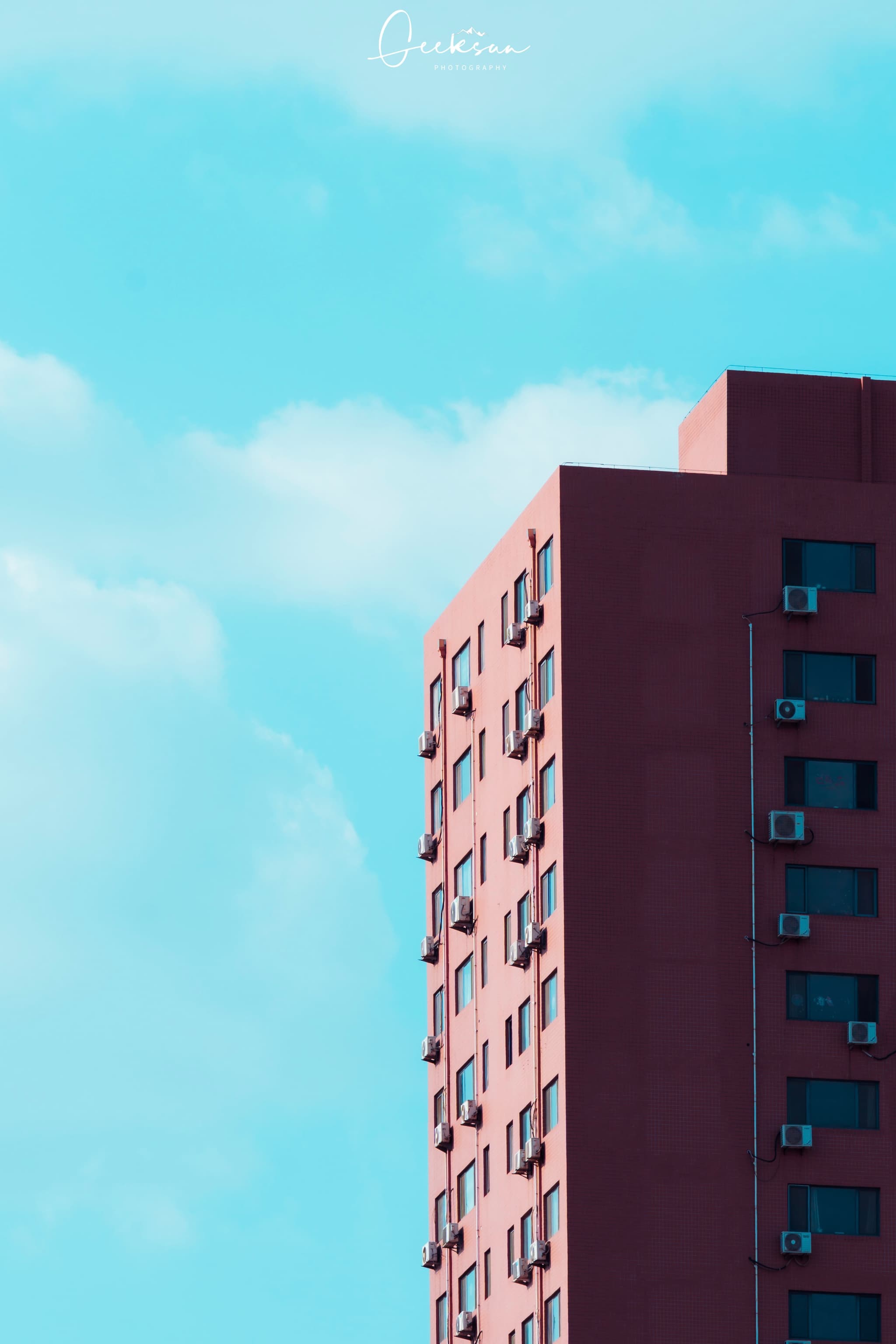24 5月 25