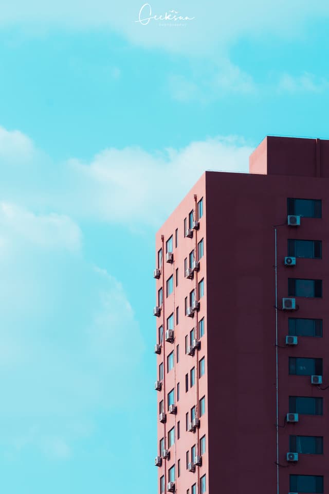 24 5月 25