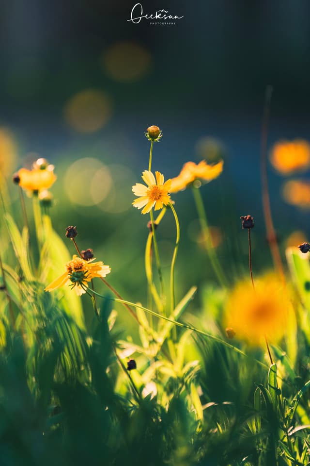05 7月 25