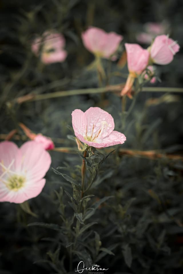 14 6月 26