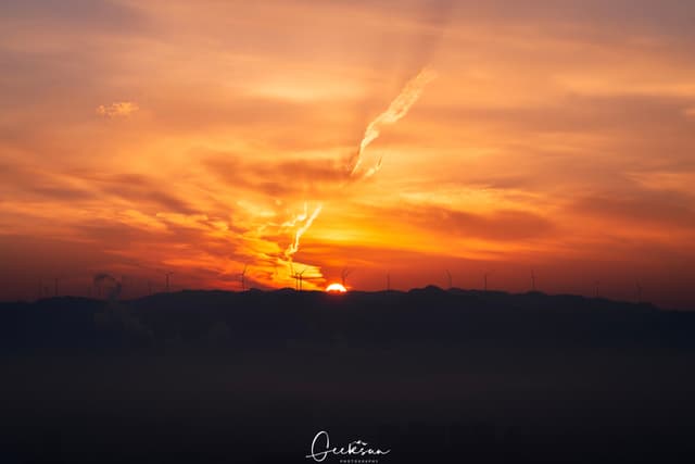 03 1月 26