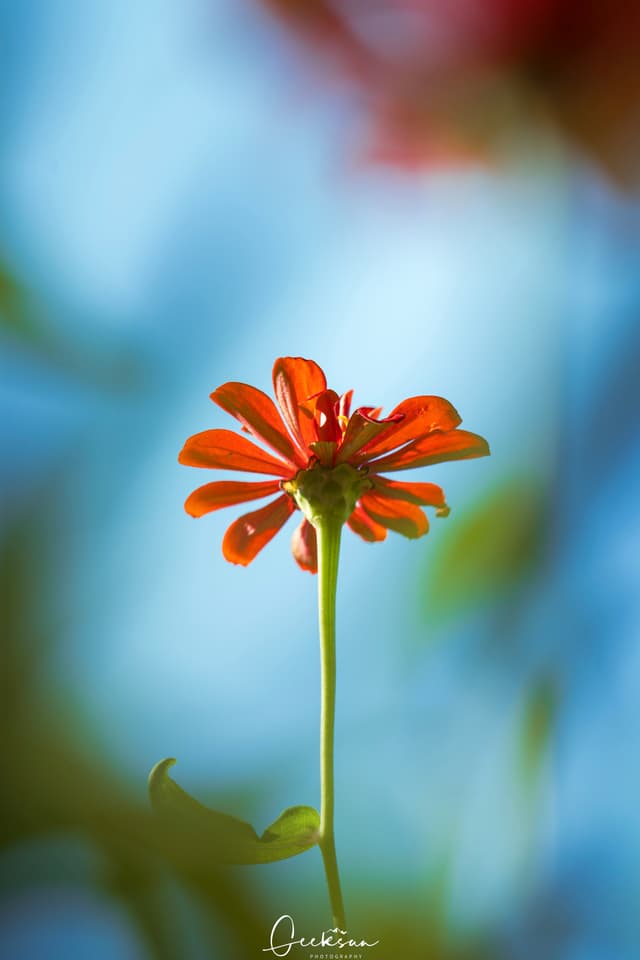 05 7月 25