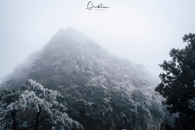 31 1月 26