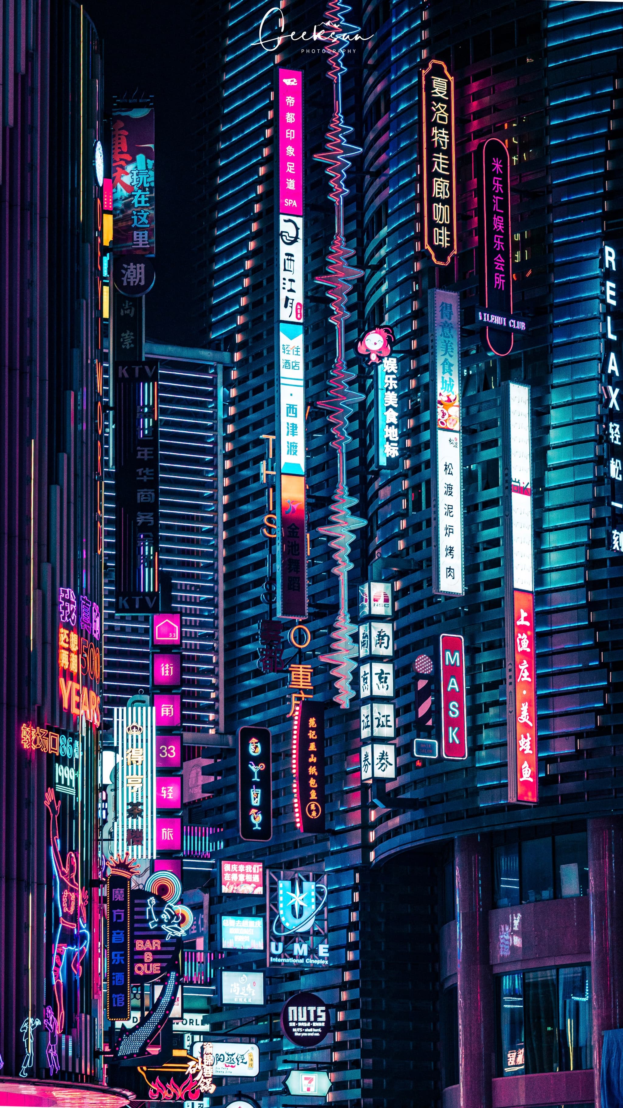 13 12月 24