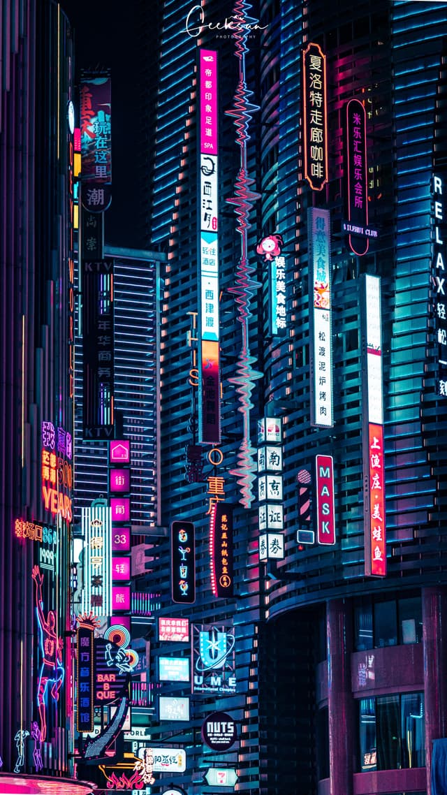 13 12月 24