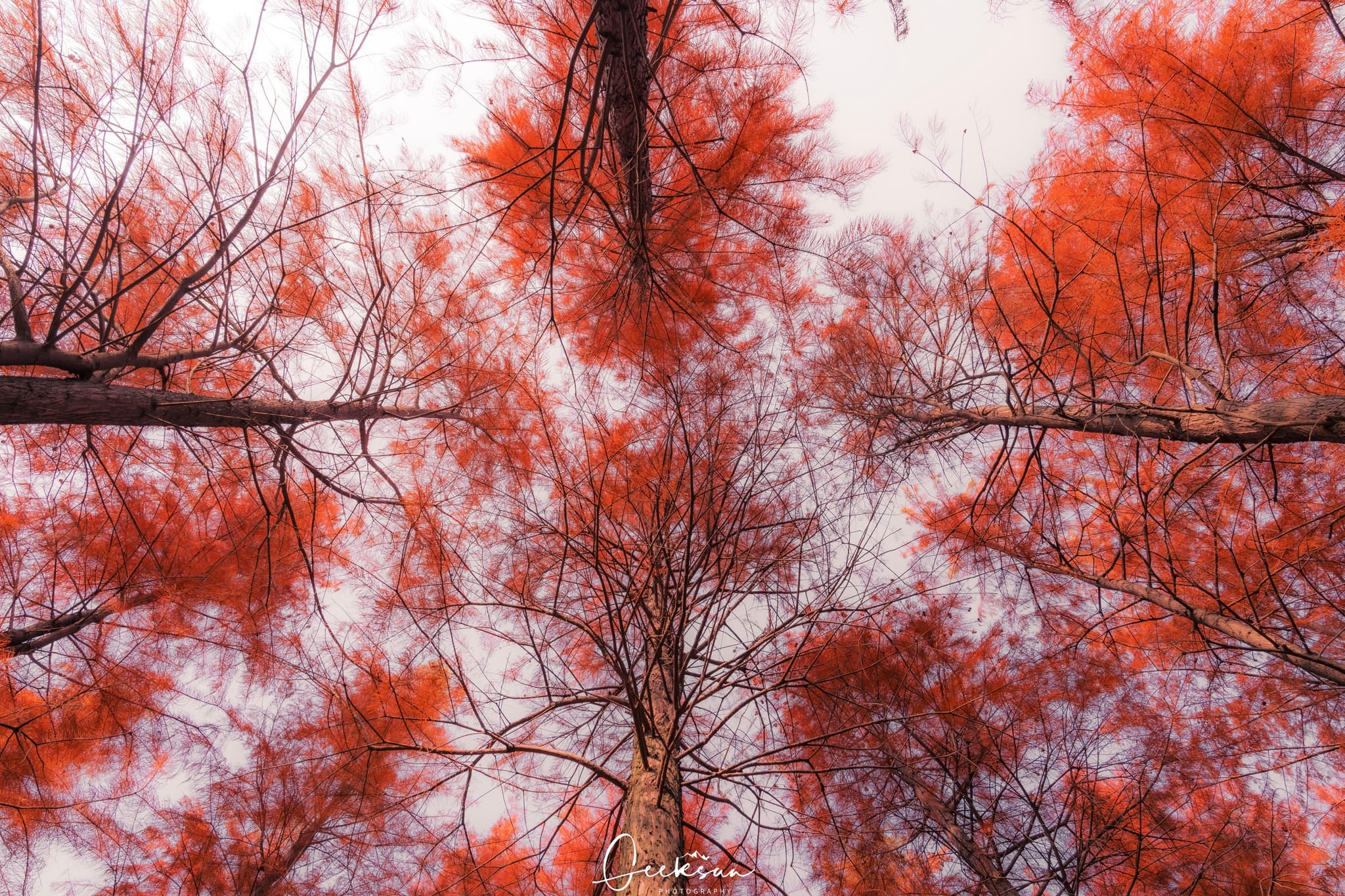 07 12月 25