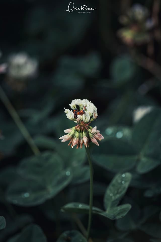 14 6月 26