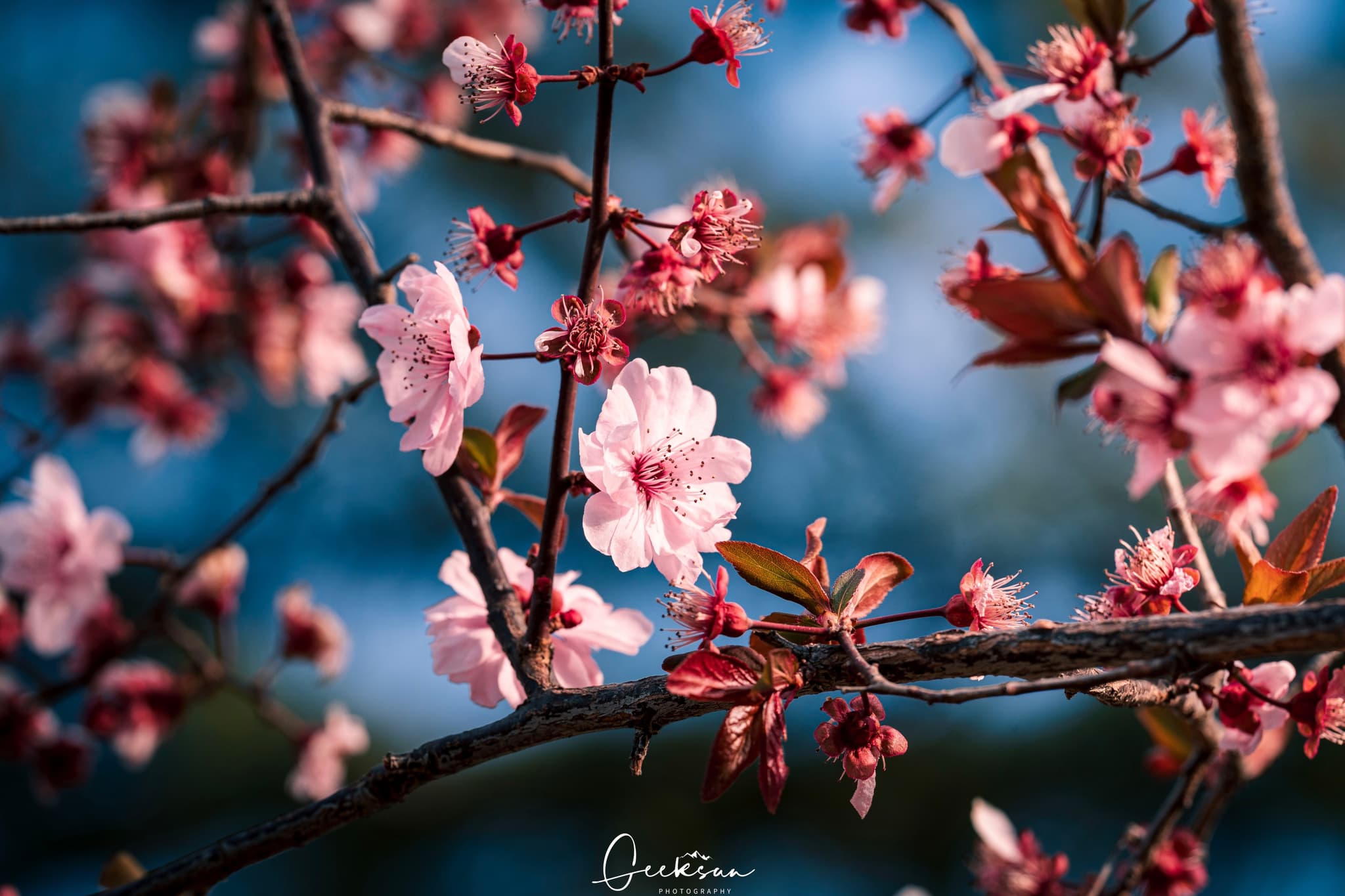 30 3月 25