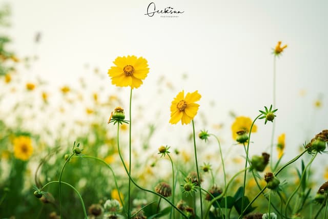 06 6月 26