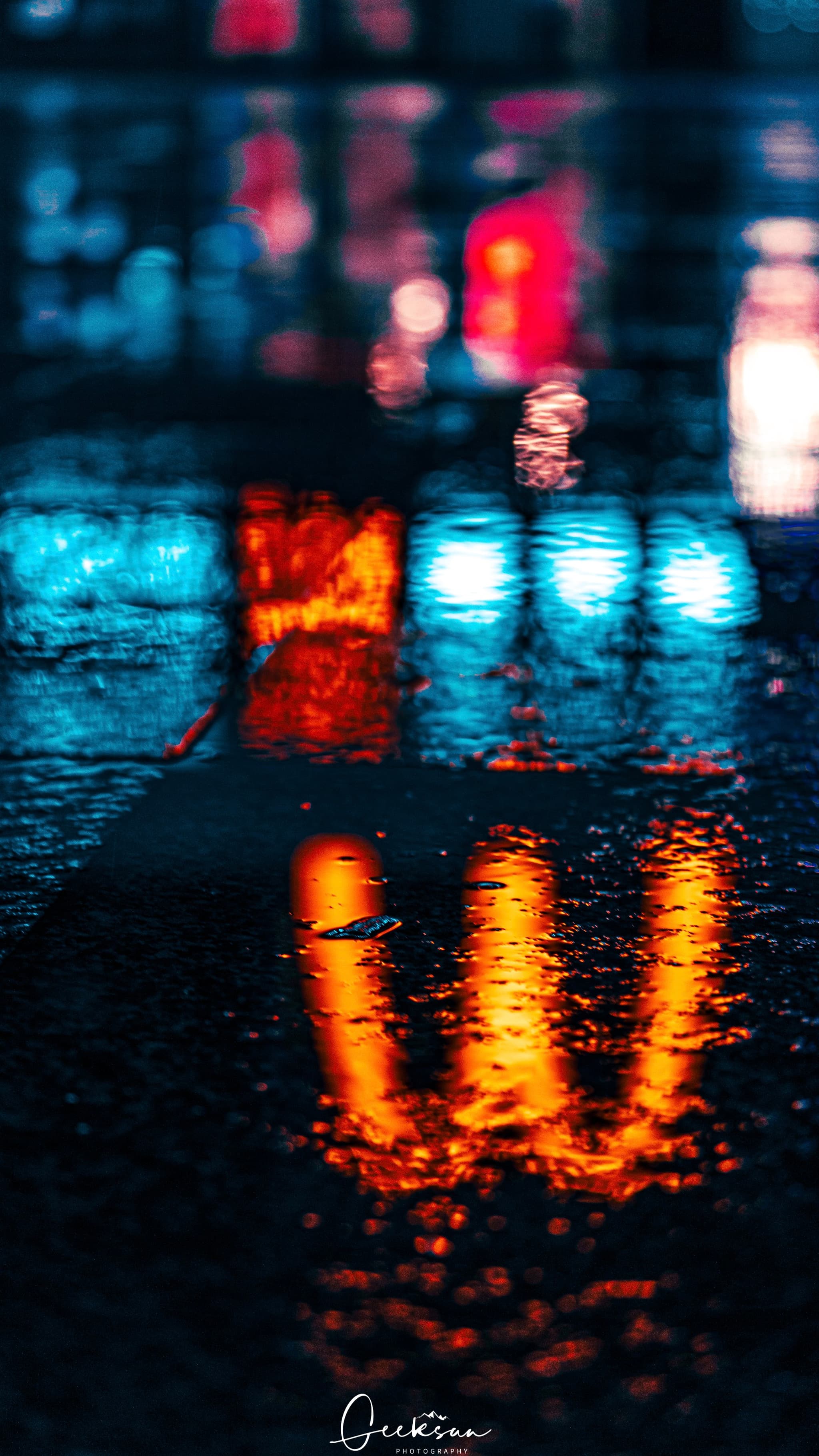 13 12月 24