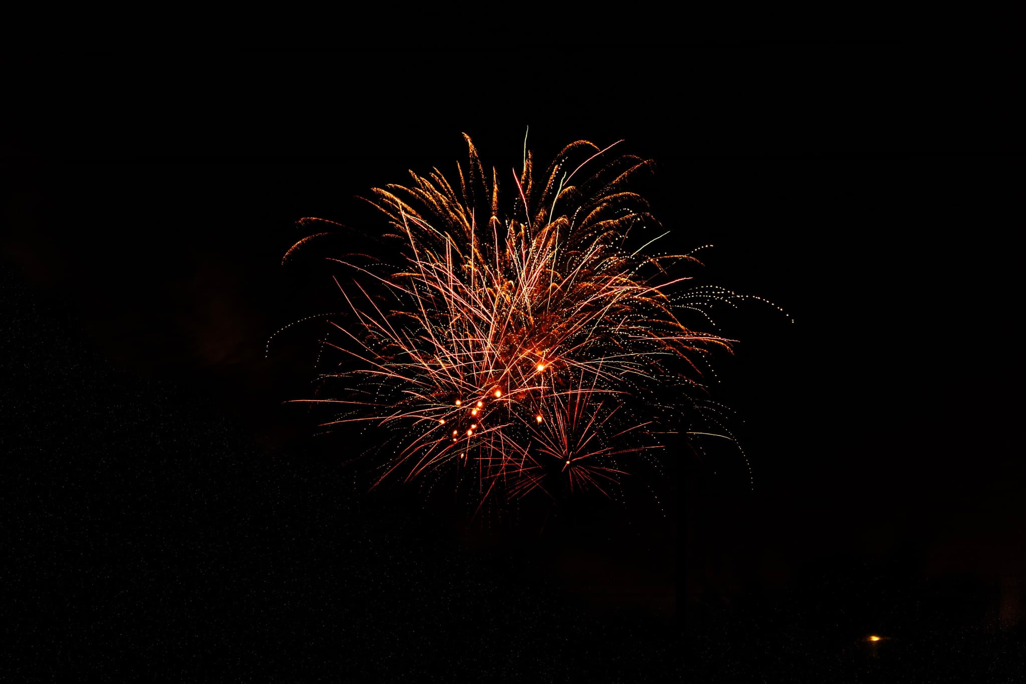 09 2月 24