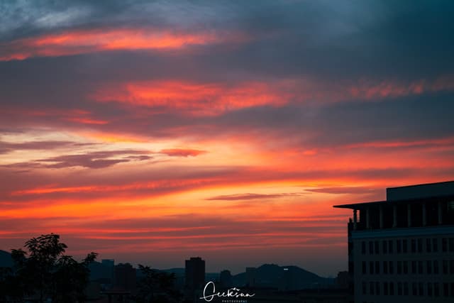 06 9月 25