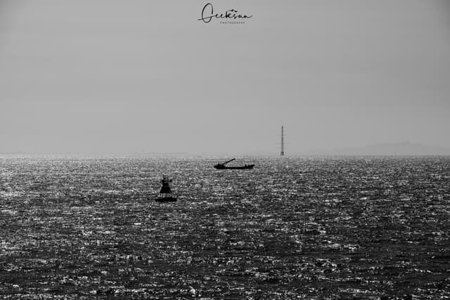 03 5月 25