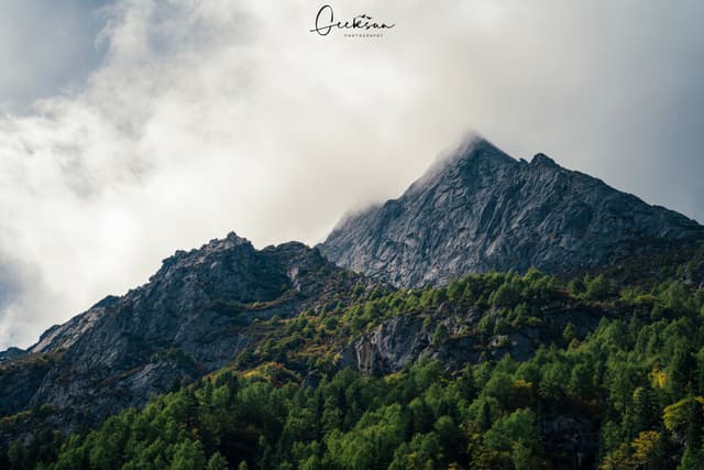 07 10月 25