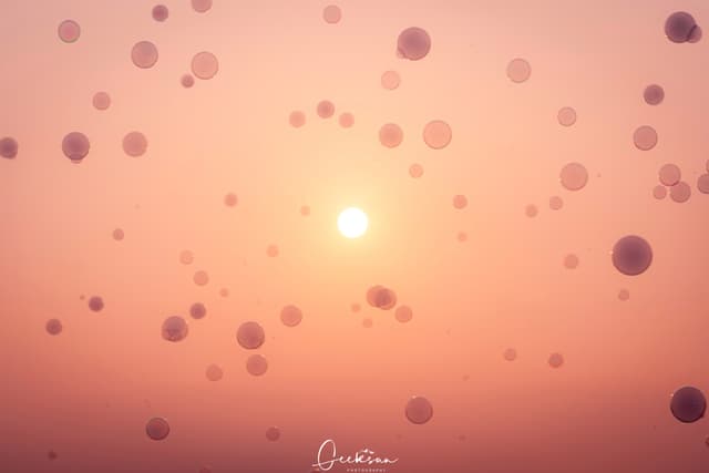 23 8月 25