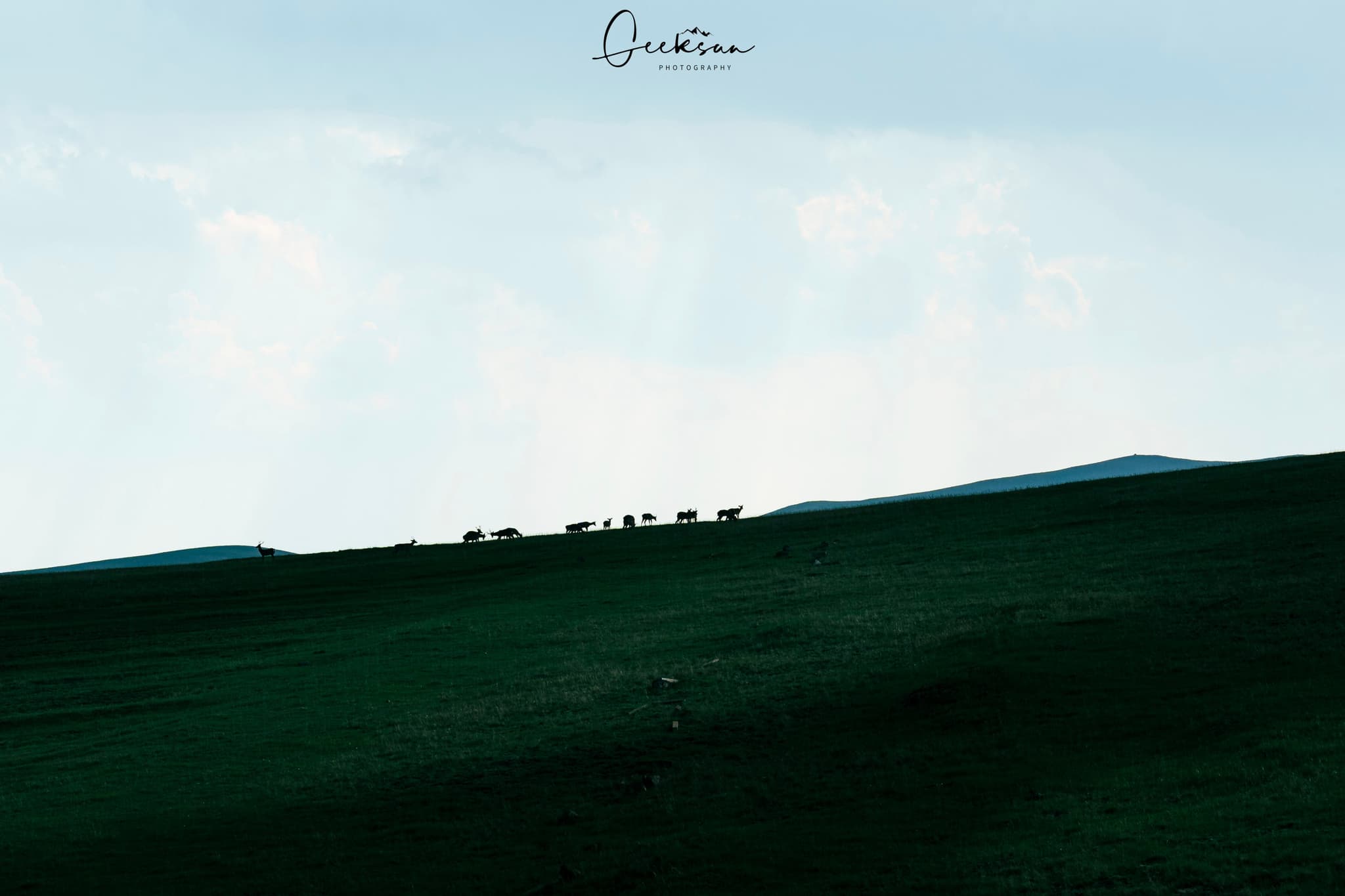 01 6月 25