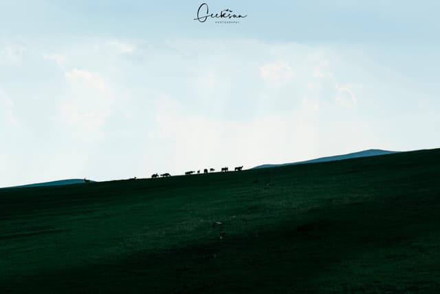 01 6月 25