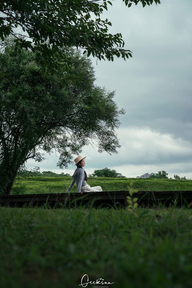 15 8月 26