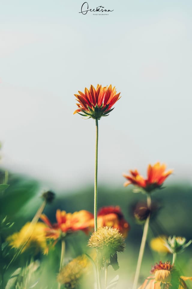05 7月 25
